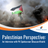 Palestinian Perspective: An Interview with PA Spokesman Ghassan Khatib