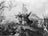The Battle of Princeton