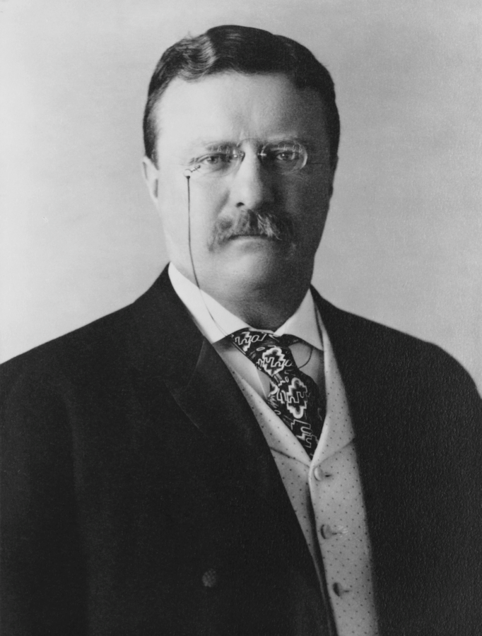 Theodore Roosevelt: The All-American Boy