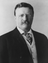 Theodore Roosevelt: The All-American Boy