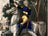 The War of 1812